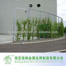 Decorativa planta verde escalada malla de pared